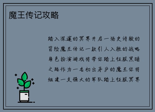 魔王传记攻略